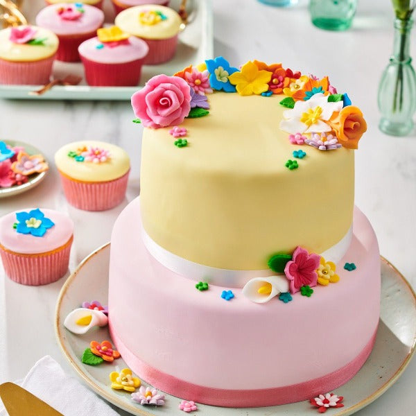 FunCakes Sugar Paste Multipack, 5 x 100g, Pink