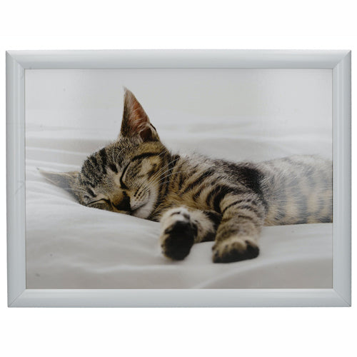 Premium Cushioned Lap Tray, Sleeping Kitten