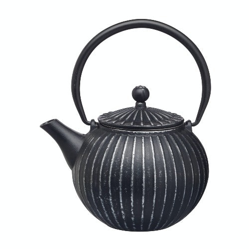 Cast Iron 2 Cup Japanese Style Infuser Teapot, 500ml (k95d)