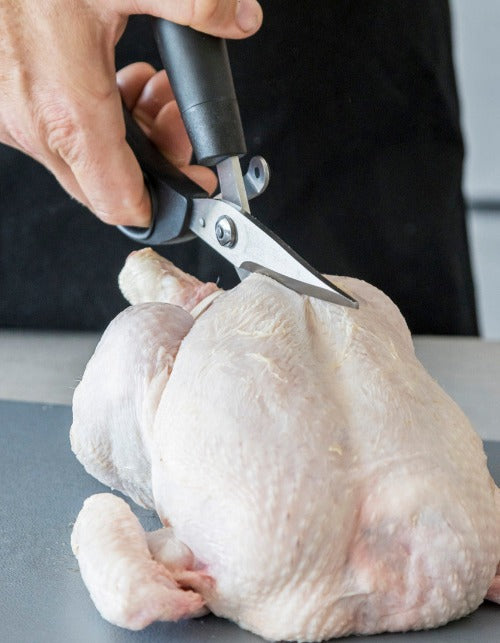 Professional Poultry Shears, 24cm