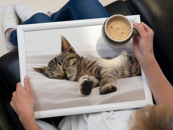 Premium Cushioned Lap Tray, Sleeping Kitten