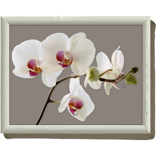 orchid cushioned bed tray