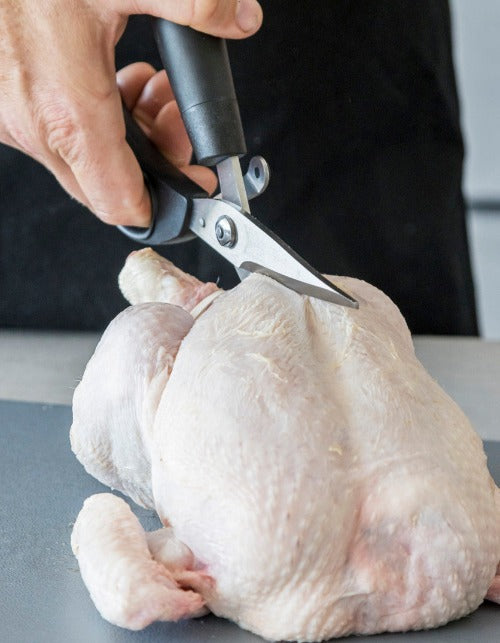 Professional Poultry Shears, 24cm (k22m)